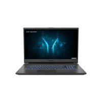 Medion Defender P10 Core i7-10750H 16GB 512GB SSD 17.3 Inch GeForce RTX 2060 Windows 10 Gaming Laptop
