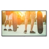 NEC 60004317 75 4K UHD 24/7 Operation Large Format Display