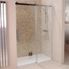 1200 Aquafloe Elite ll 8mm Sliding Door Only