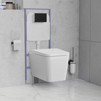 Evan Wall Hung Toilet with Soft Close Seat Cistern Frame and Black Flush Plate