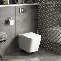 Evan Wall Hung WC and Soft Close Seat