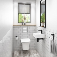 Santiago Rimless Wall Hung Toilet with Soft Close Seat and Wirquin WC Frame with Chrome Flush Plate