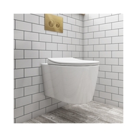 Wall Hung Toilet and Soft Close Seatwith Brushed Brass Flush Plate Frame and Cistern - Alcor