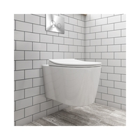 Wall Hung Toilet and Soft Close Seatwith Chrome Flush Plate 1160mm Frame and Cistern - Alcor