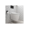 Wall Hung Toilet and Soft Close Seatwith Matt Black Flush Plate 1160mm Frame and Cistern - Alcor