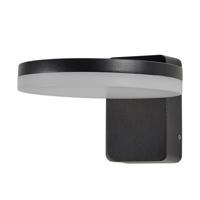 Huck Outdoor LED Wall Light, 
Black