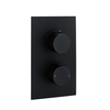 Arissa Matt Black Dual Control Round Concealed Valve - 2 Outlet