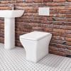 Back to Wall Toilet with Soft Close Seat - Austin