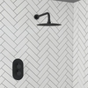 Black Concealed Shower MixerwithDual Control & Round Wall Mounted Head - Arissa