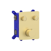 Brushed Gold Push Button 2 Function Shower Valve - Vance