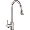 Reginox Chrome Kitchen Mixer Tap with Pull Out Rinse Spray - Tanaro CH