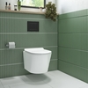 Wall Hung Toilet with Soft Close Seat Frame Cistern and Black Flush - Newport