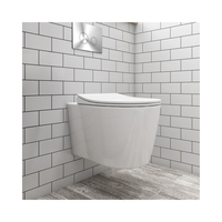 Wall Hung Toilet with Soft Close Seat Frame Cistern and Chrome Flush - Alcor