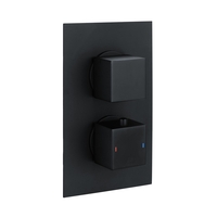 Zana Matt Black Dual Control Square Concealed Valve - 2 Outlet