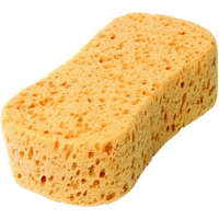 Jumbo Sponge