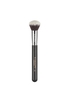 F22 Black with Silver Ferrule Face Brush