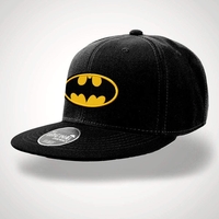 Batman Logo Snapback Cap