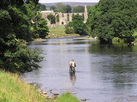 Fishing Tales (Bolton Abbey)