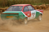 Silverstone Rally Experience