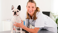 Veterinary Support Assistant