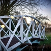22M Weatherproof Festoon Lighting - 40 White Bulb Holders