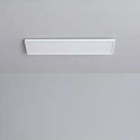 24W SwitchDimm 580x200mm Rectangular Dimmable LED Surface Panel Double Sided