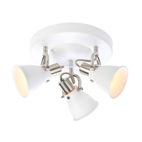 Alton 3 Light Spotlight Plate - White