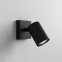Astro Ascoli Single Spotlight - Matt Black