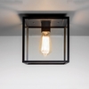 Astro Box Outdoor Flush Ceiling Light - Black