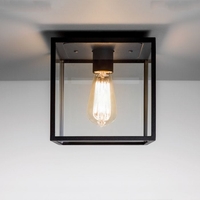 Astro Box Outdoor Flush Ceiling Light - Black