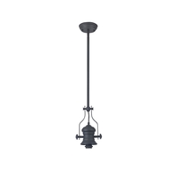 Beckham Ceiling Pendant Light - Graphite