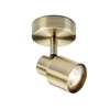 Capture Single Spotlight - Antique Brass