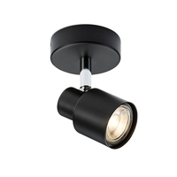 Capture Single Spotlight - Matt Black