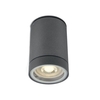 Cylinder Outdoor Flush Ceiling Light - Anthracite