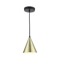 Dar Branco Ceiling Pendant Light - Brushed Brass & Black