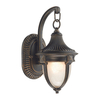 Dar Richmond Outdoor Hanging Lantern Wall Light - Black