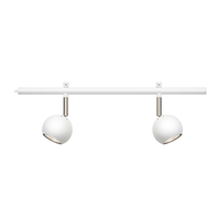 Dome 2 Light Expand Track Light - 500mm - White