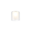 Eden Glass Ceiling Pendant Shade - Frosted Glass