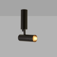 Edit Adjustable Spotlight - Black