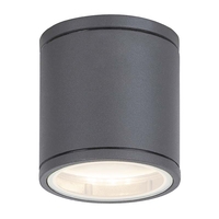 Edit Akron Outdoor Flush Ceiling Light - Anthracite