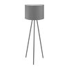 Edit Basic Floor Lamp - Graphite