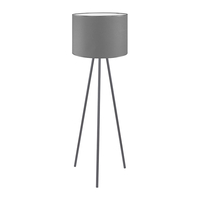 Edit Basic Floor Lamp - Graphite