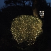Edit Battery Operated Warm White LED Multi-Function String Lights - 100 Lights