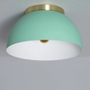 Edit Bosco Flush Ceiling Light - Mint Green