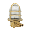 Edit Coastal Coral Outdoor Ground Light - Brass