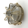 Edit Coastal Fossil Outdoor Flush Wall Light - Brass