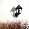 Edit Coastal Sennen Outdoor Lantern Wall Light with PIR Sensor - Black