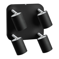 Edit Eye 4 Light Spotlight Plate - Black