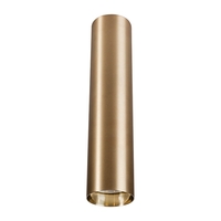 Edit Eye Medium Ceiling Spotlight - Gold