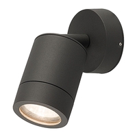 Edit Fallon Outdoor Wall Mounted Spotlight - Graphite